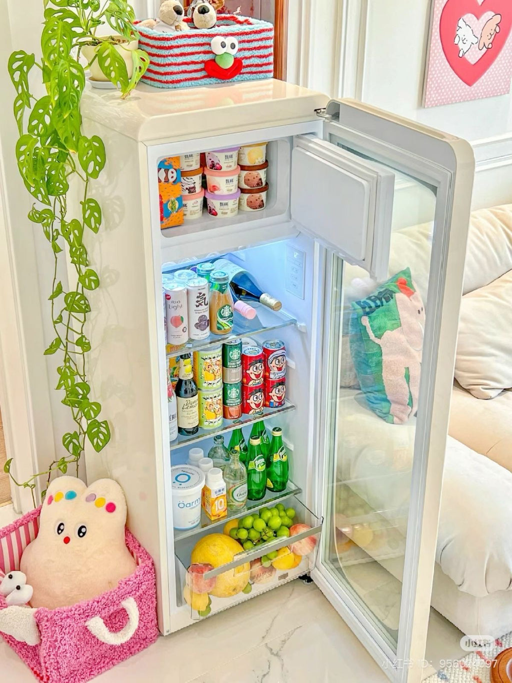 Mini Fridge