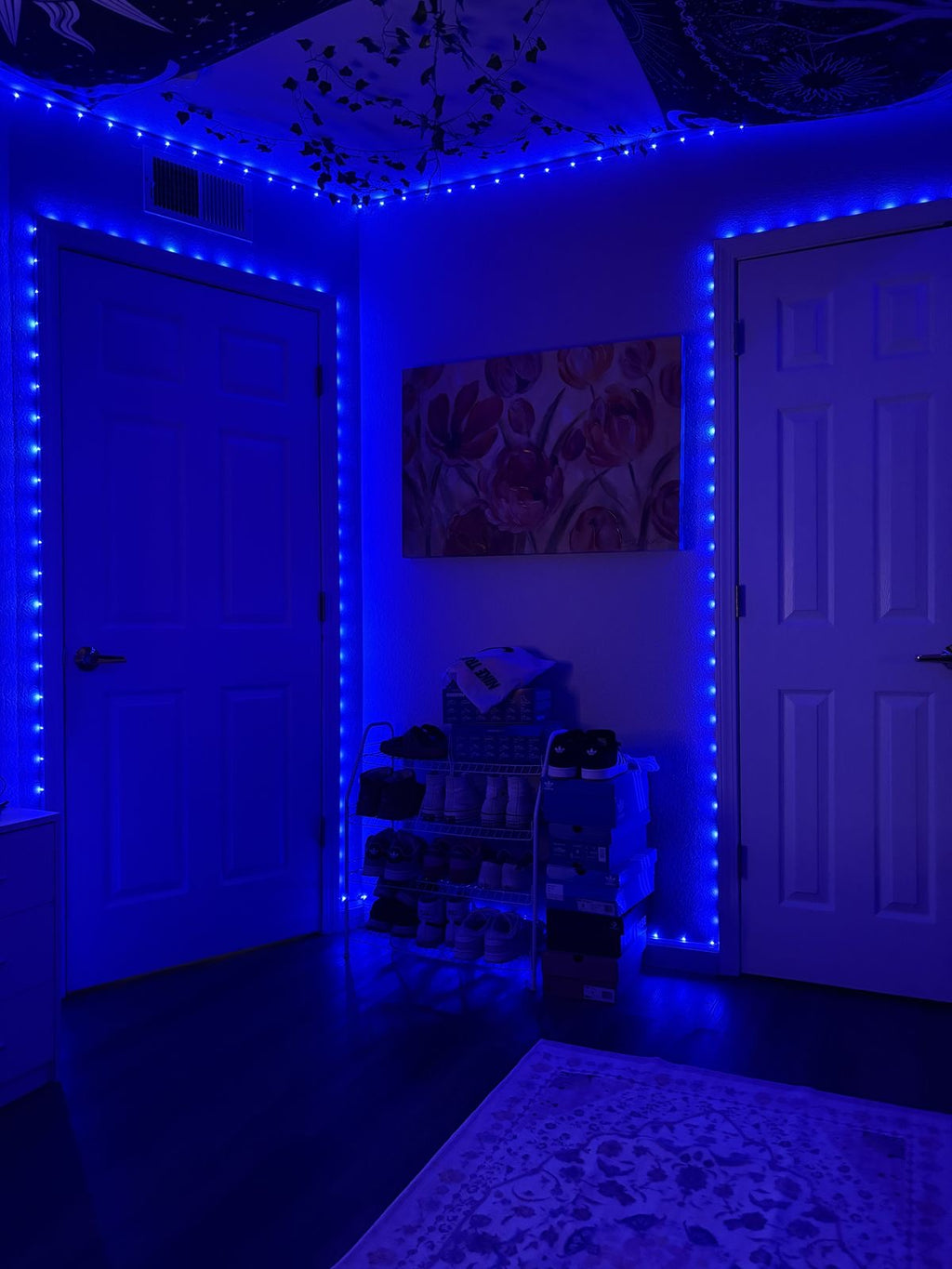 LED Light